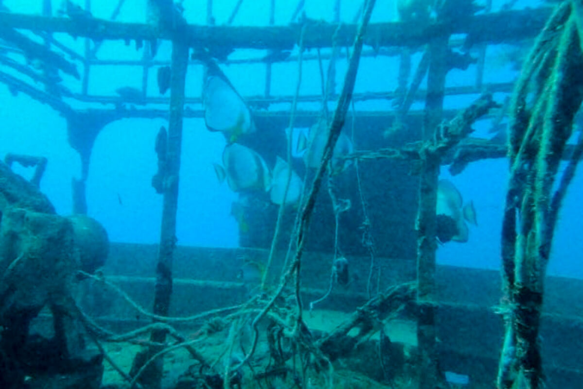 Wreck Diving Egypt (Hurghada)