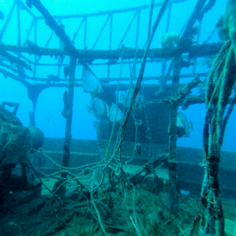 Wreck Diving Egypt (Hurghada) – Vitske.be